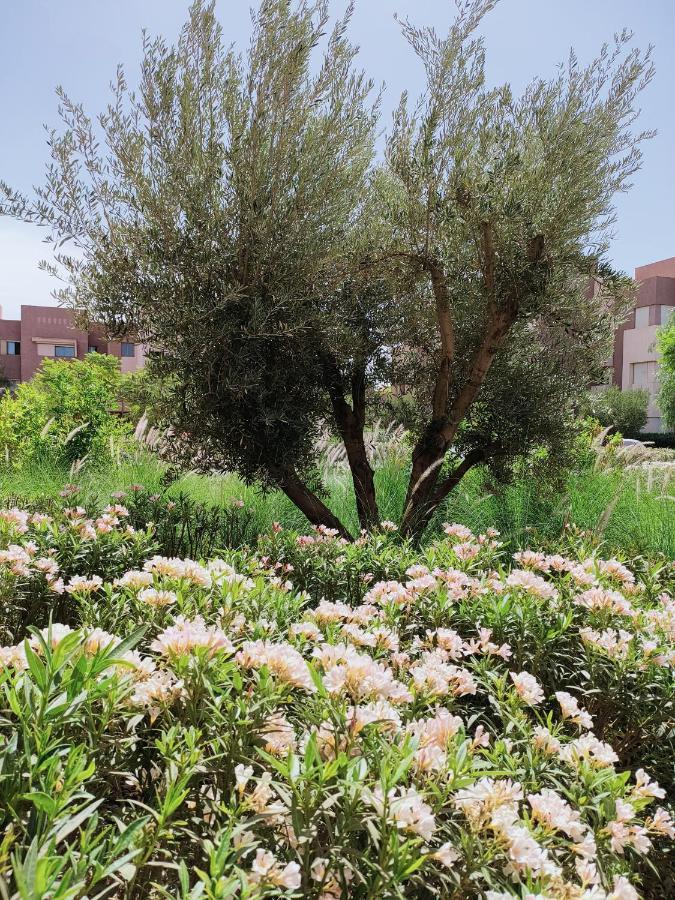 Prestigia Marrakech Dar Cheryana Marrákes Kültér fotó
